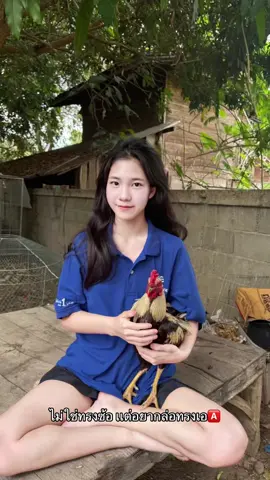 เอที่จริงใจ