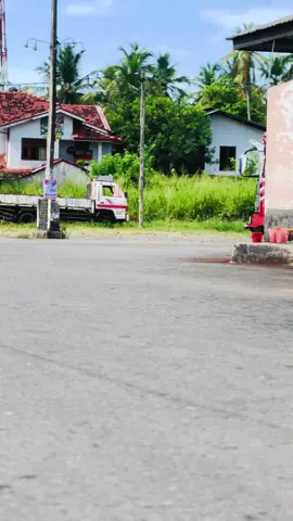 එයාට මොනවද දෙන්න ඕනේ අප්ඩේට්🥺❤️ #EVERGREEN #RED_TIGER #KING_OF_525 #තරුල්_super_line💙🙈 