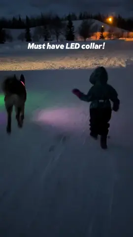 Night walks just got a glow-up! Keep your pup visible, safe, and stylish with our LED Dog Collar Rechargeable, waterproof & shines bright in the dark — so you never lose sight of your best friend. Because safety should look this good. Light up your walks today! [Link in bio] #LEDDogCollar #GlowUpPet #NightWalks #PetSafety #DogsofTikTok #PetAccessories #PetTok #DogGear #PetGadgets #TikTokPets #StayVisible #PetGlowUp #TikTokMadeMeBuyIt #buynow #shopnow #fyp #essentials #viralvideo 