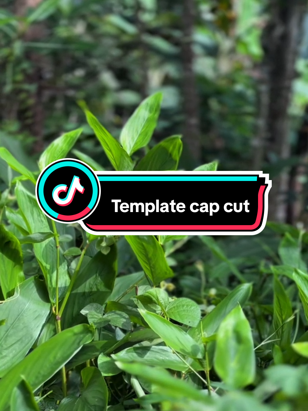 #CapCut sinematic tia monica plat kt#Gen_zcapcut #fypシ #fypシ゚viral #fypviral #soundviral #trend #CapCut 