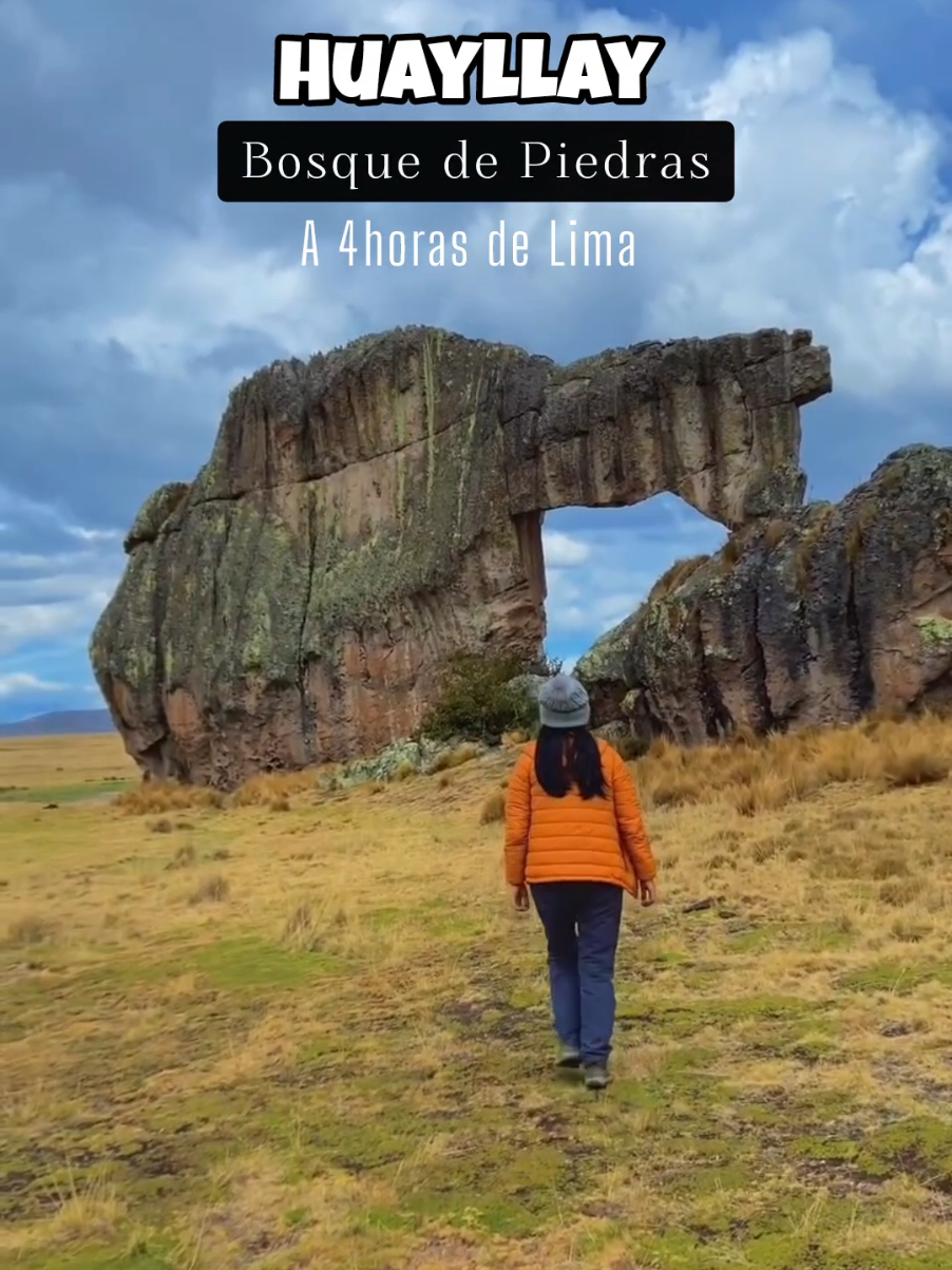 𝙃𝙐𝘼𝙇𝙇𝘼𝙔 𝘽𝙊𝙎𝙌𝙐𝙀 𝘿𝙀 𝙋𝙄𝙀𝘿𝙍𝘼𝙎 🪨⛰️ Conoce una de las 7 maravillas del Perú en un solo día saliendo desde Lima 🤩 🧏🏽‍♂️ Modo: Full Day  🌤️ Temporada ideal: Mayo a Septiembre  📅 Salidas confirmadas todos los fines de semana y feriados. ✅ Para más información sobre nuestras salidas programadas ingresar al link de nuestro perfil ó al 906 582 614 / 956 796 884 . . . . #toursdesdelima #tours #turismo #conoceperu  #temporadademontaña  #mochilerosenrutaperu #viajes #tours #tiktokviajes #huayllay