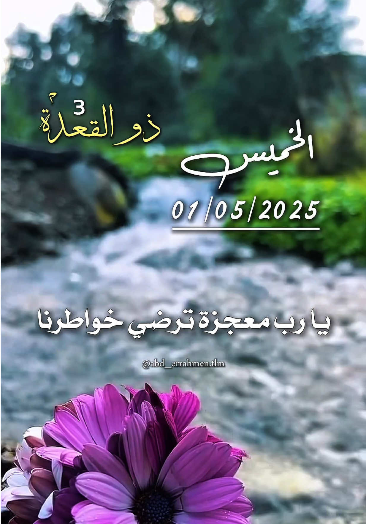 يارب  معجزة ترضي خواطرنا  #يارب🤲 #دعاء #دعاء_جميل #يوم #الخميس #اللهم_امين #اللهم_امين_يارب_العالمين #دعاء_عظيم #❤️ 