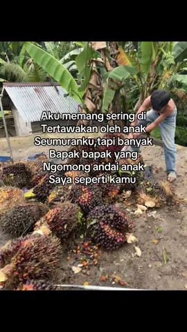 #storysawit🌴🌴 #sawitontiktok #sawitbalap #masukberandafyp 