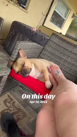 #onthisday 