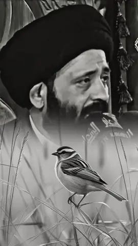 اقسى شيء ممكن تواجها في هذه الحياة.... #السيد_علي_الطالقاني #كلام_من_ذهب #foryou 