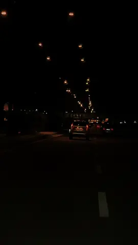 يا خسارة كلبي يا تعب السنين