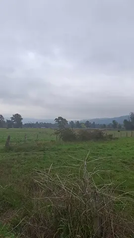 se viene temporal #sur #campo #huaso #lluvia 