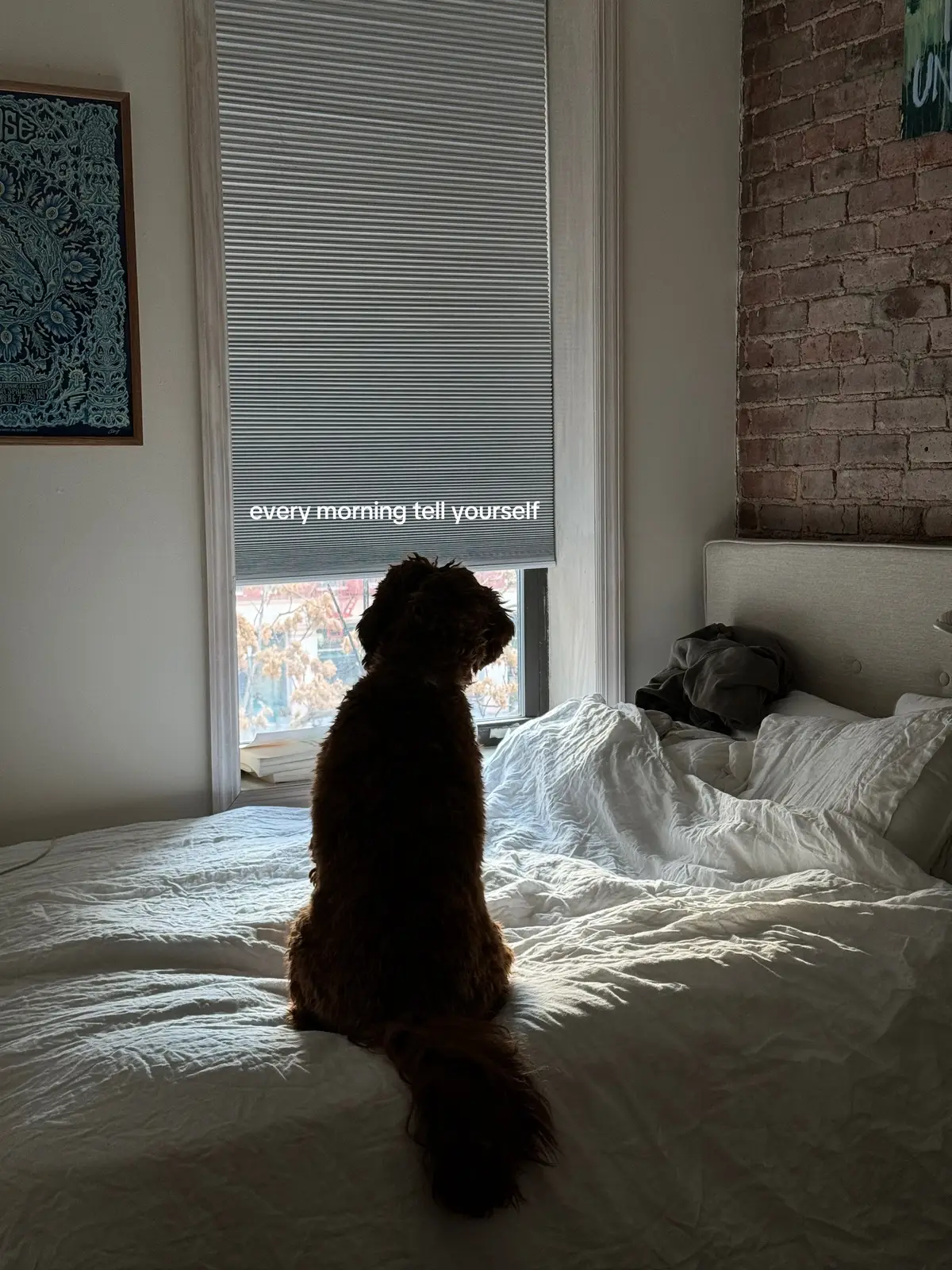 Save this and come back to it every morning!!! This has been a vital part of my morning routine - reminding me to fill myself with love and compassion before starting my day. When I begin my day with kindness toward myself, everything flows better. I feel more grounded and more clear. Try it tomorrow - see how it shifts your energy! #morningmotivation, #positivity, #dailyaffirmations, #mindset, #SelfCare #creatorsearchinsights 