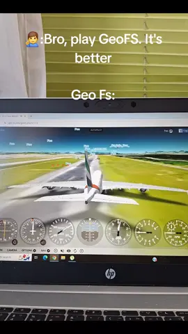 The graphics are something diffrent #plane #fyp #aviation #viral #gaming 