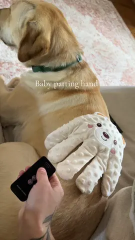 I’m actually so excited to try this out with my new baby.. thanks Charlie for being a good sport about testing this out🫶 @joyfubabeus #joyfubabe  #babytoy #tiktokmademebuyit #gamechanger #viral #babytok #toytok #babypatting 