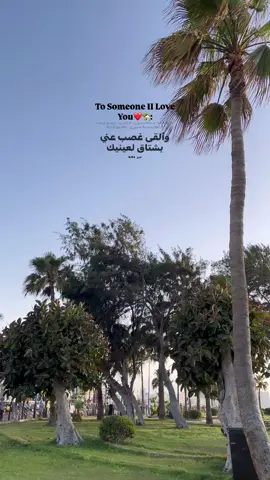 آجمل الليالي أنا لما تشوفك عيني😍 #fyp 