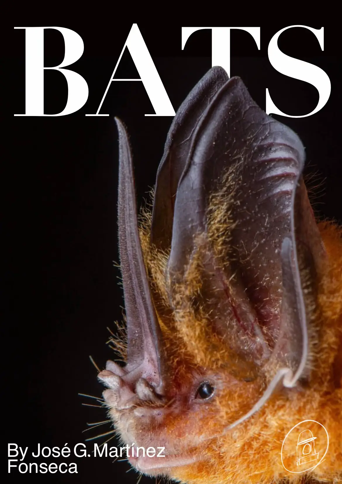 #flnrv #digitalarchive #slideshow #fypシ #targetaudience #archive #photography #wildlife #bat #animalphotography 
