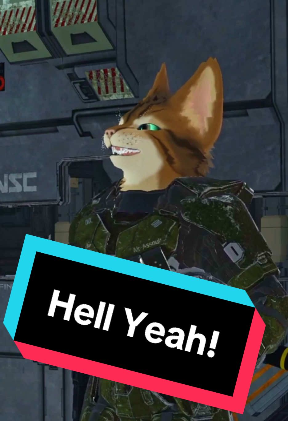 Pelican. #gato #Halo #haloinfinite #halo2 #pelican #vrchat #vrchatfurry #furry #hellyeah 