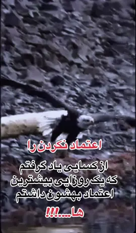 اعتماد را از#کسایی یادگرفتم#ک یک روزایی بیشترین#اعتماد بهشون داشتم