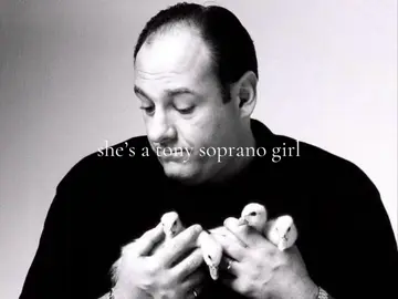 🚬🐣💐🥩 #thesopranos #tonysoprano #jamesgandolfini #gabagool #fyp 