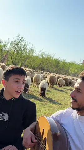 @Hosam mrad official 😂😂 طلعنا نشرب متة لقينا الغنم ورانا❤️