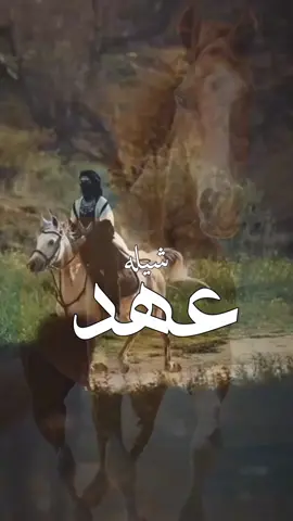 افخم شيلة باسم عهد 2025 - شيلة مدح باسم عهد اداء بندر الذرفي  #افخم #شيلة #باسم #عهد #شيله #مدح #عهد #2025 