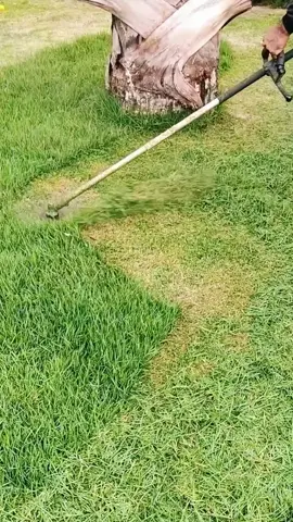 Oddly Satisfying Sensations | ASMR | #Perfect cutt! 🍀💚 #lawntok #grasstok #gardentok #landscapersoftiktok #asmr #oddlysatisfying #Satisfying #mowing #lawn #garden #clean #CleanTok #landscape #gardening #lawncare #mowingthelawn #lawnmower #creatorsearchinsights #brushcutter #lawntiktok #lawnsoftiktok #lawnmowing #lawns #grasstiktok #cuttinggrass #satisfaction 