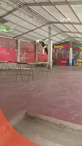 #Virales | ¡Insólito! Una vaca cayó del techo y nadie entiende cómo subió 🐄😱 La vaca cae desde el techo de una vivienda y deja a todos con la boca abierta, pero… ¿Quién la puso ahí? ¡Mirá el video que tiene a todos preguntándose lo mismo! Fuente: RRSS ▶️ Más información en www.reduno.com.bo #RedUno #RedUnoDigital #Notivisión