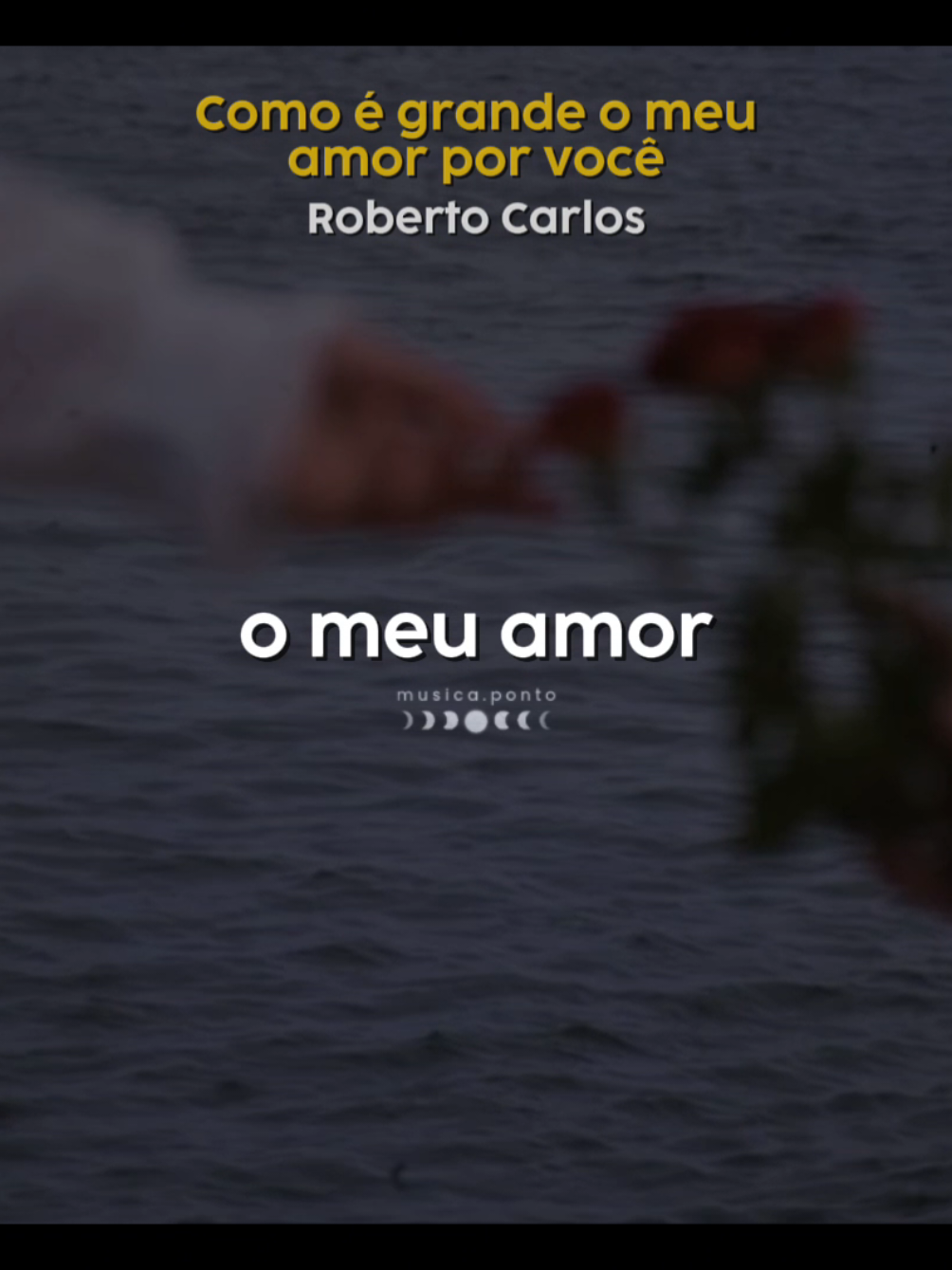 Como é grande o meu amor por você - Roberto Carlos #comoegrandemeuamorporvoce #robertocarlos #paravocebr #musicaponto #trechosdemusicas 