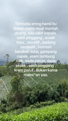 MasyaAllah nikmat ya allah #masyaallahtabarakkallah #bumil #hamil 