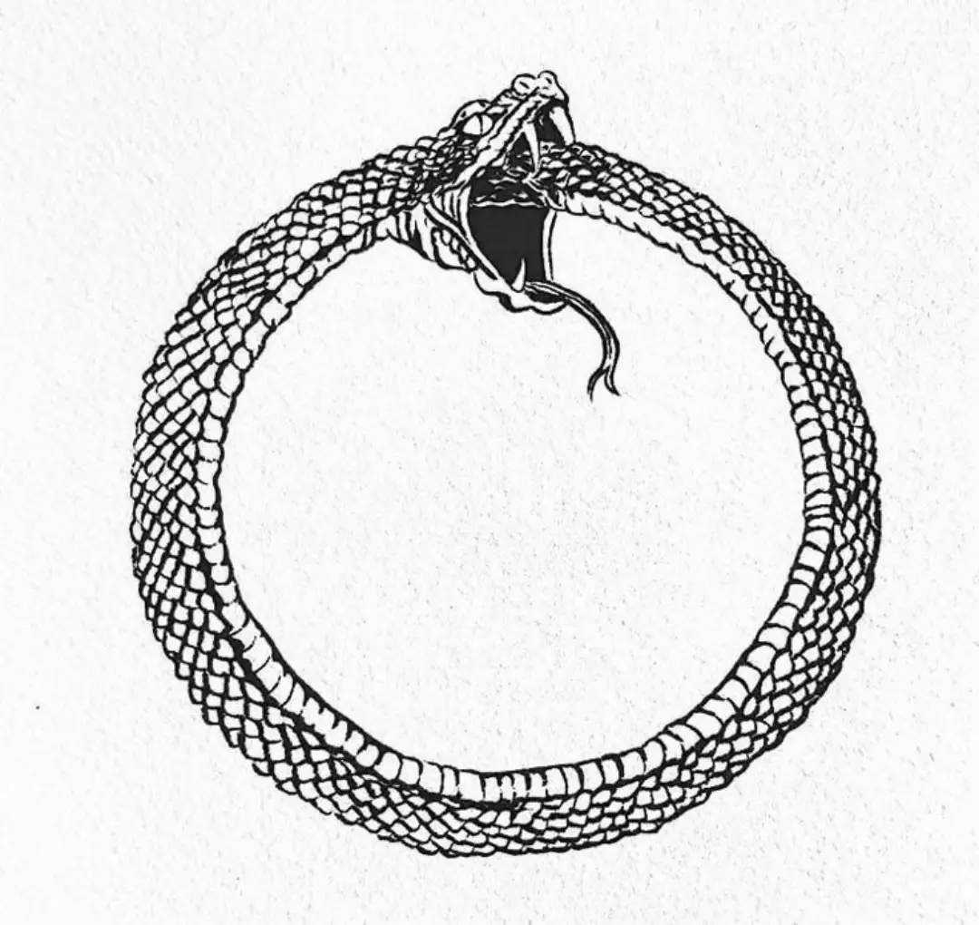 La paradoja de la serpiente, también conocida como el Uróboros, es un símbolo que representa la idea del eterno retorno, la unidad de todas las cosas, y la naturaleza cíclica de la creación y destrucción. Se ilustra como una serpiente que se come su propia cola, simbolizando que nada se destruye, sino que simplemente se transforma.  #paradox #paradoja #paradojas #datoscuriosos #serpiente #infinito 