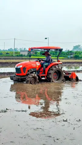 Traktor Kubota L4018 L4028  Membajak Sawah Hasil Melimpah