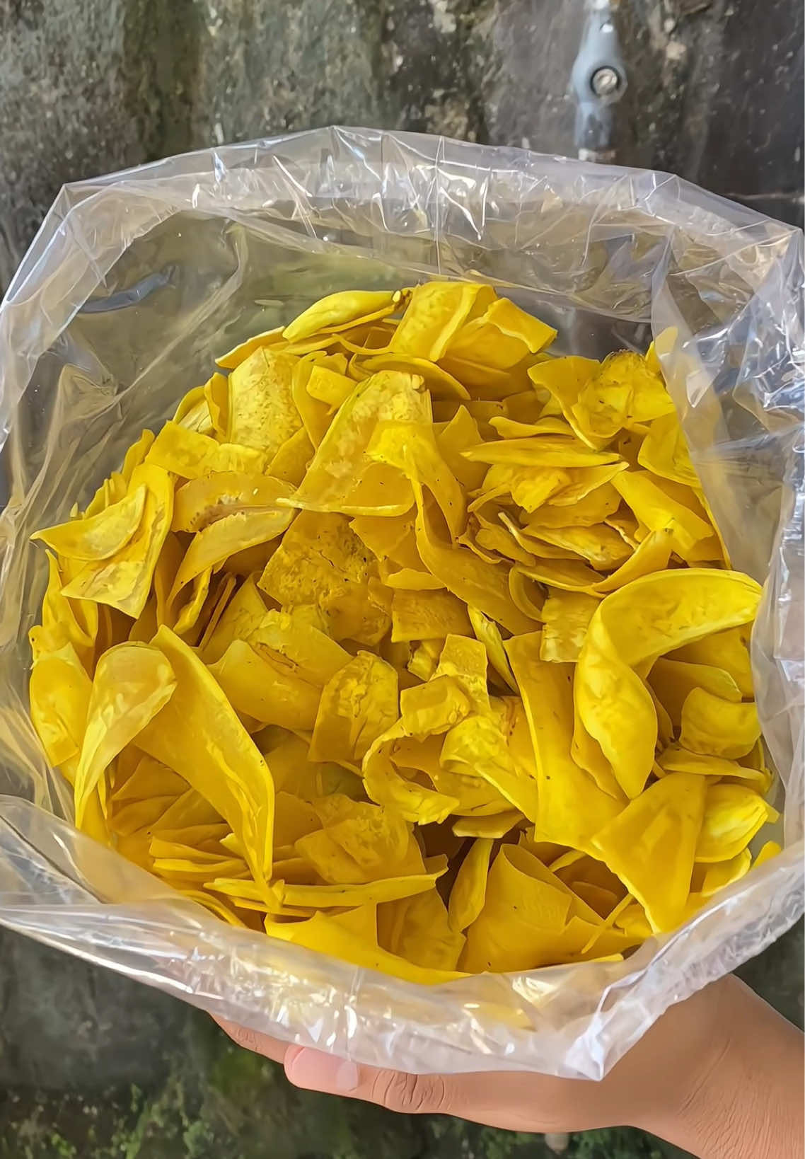 Asin gurih bikin nagih bunn🥰🥰 #keripik #keripikpisang #keripikpisangasin #keripikpisang1kg #keripikpisang1ball #pisangasin #keripikviral #keripikgurih #cemilan #cemilanviral #cemilanenak #cemilanmurah #cemilanenakmurah #rekomendasi #rekomendasicemilan #fyp #fypage #fypシ゚ #fyppppppppppppppppppppppp 