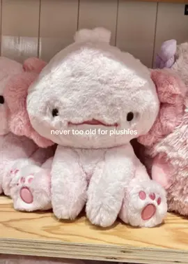 And I mean NEVER 🙅‍♀️ #foryou #fyp #aesthetic #plushies #jellycat #teddybear #comfort #plush 