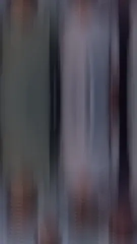 #CapCut 