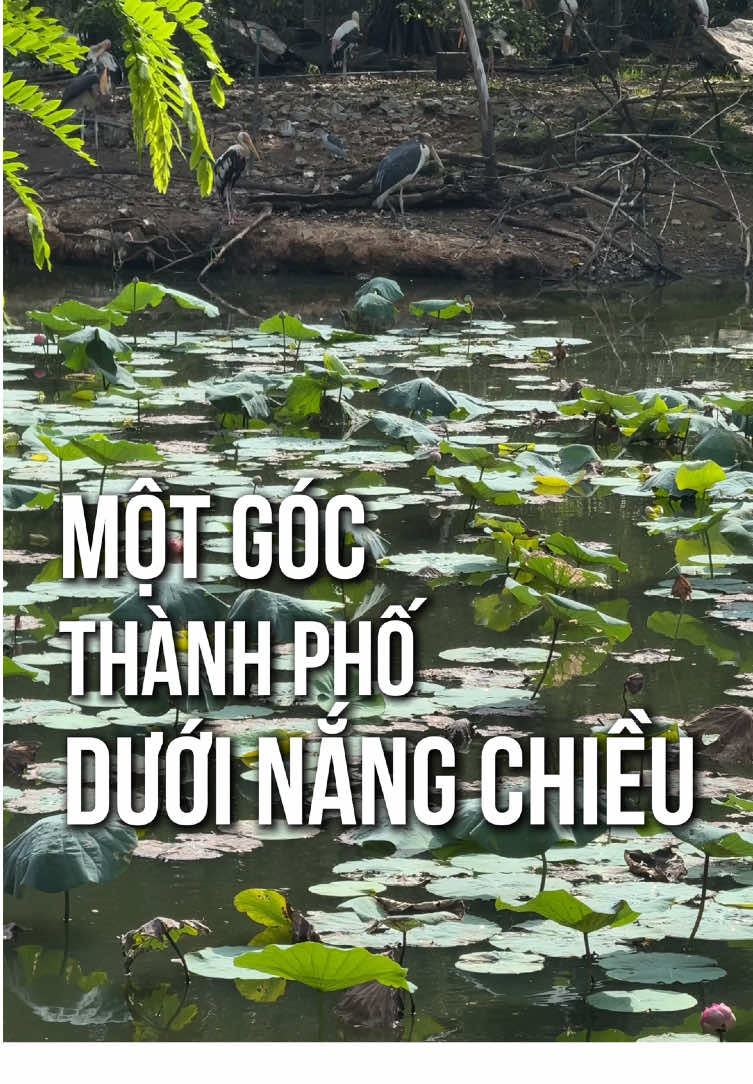 TP Hồ Chí Minh, với những trải nghiệm mới nhân dịp nghỉ lễ #lythanhco #dicungco #tiktoktravel #LearnOnTikTok 