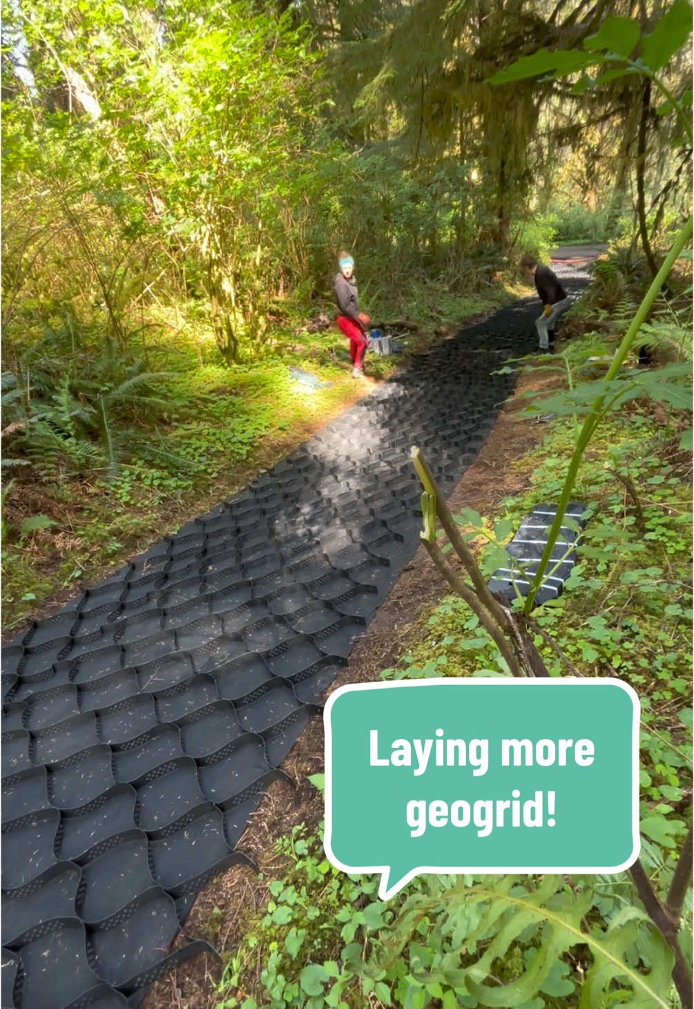 More geogrid! Have about 50ft more grid to lay on the this main stretch. Woot woot #geogrid #newroad #gravelroad #dirtroad #DIY #livinginthewoods #forestlife #woodslife 