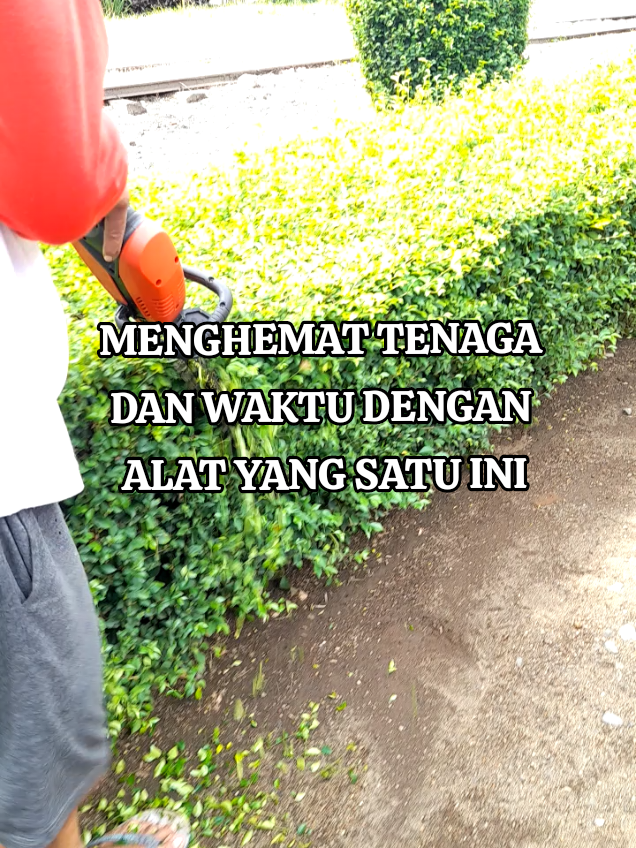 sekarang jamannya yang simple, ngerapiin pagar dengan alat ini jadi lebih mudah #pagar #tanaman #alatberkebun 