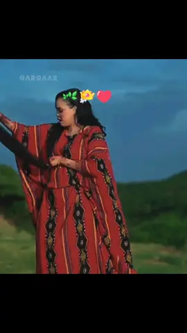 #GAR_GAAR #idil_ayruush📸🇸🇴 #ciyaalxamar🇸🇴 