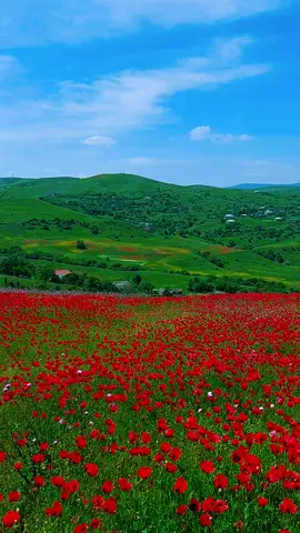 #Azerbaycanim🇦🇿 #Yardımlı #Çanaxbulaq #kendi #keşfet #keşfet #keşfet #keşfet ##