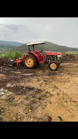 #xuhuongtiktok 
