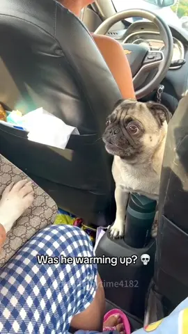 Bro attitude #fypage #angrydog #doglover #funny #attitude #patience #lovedogs #dogsofttiktok 