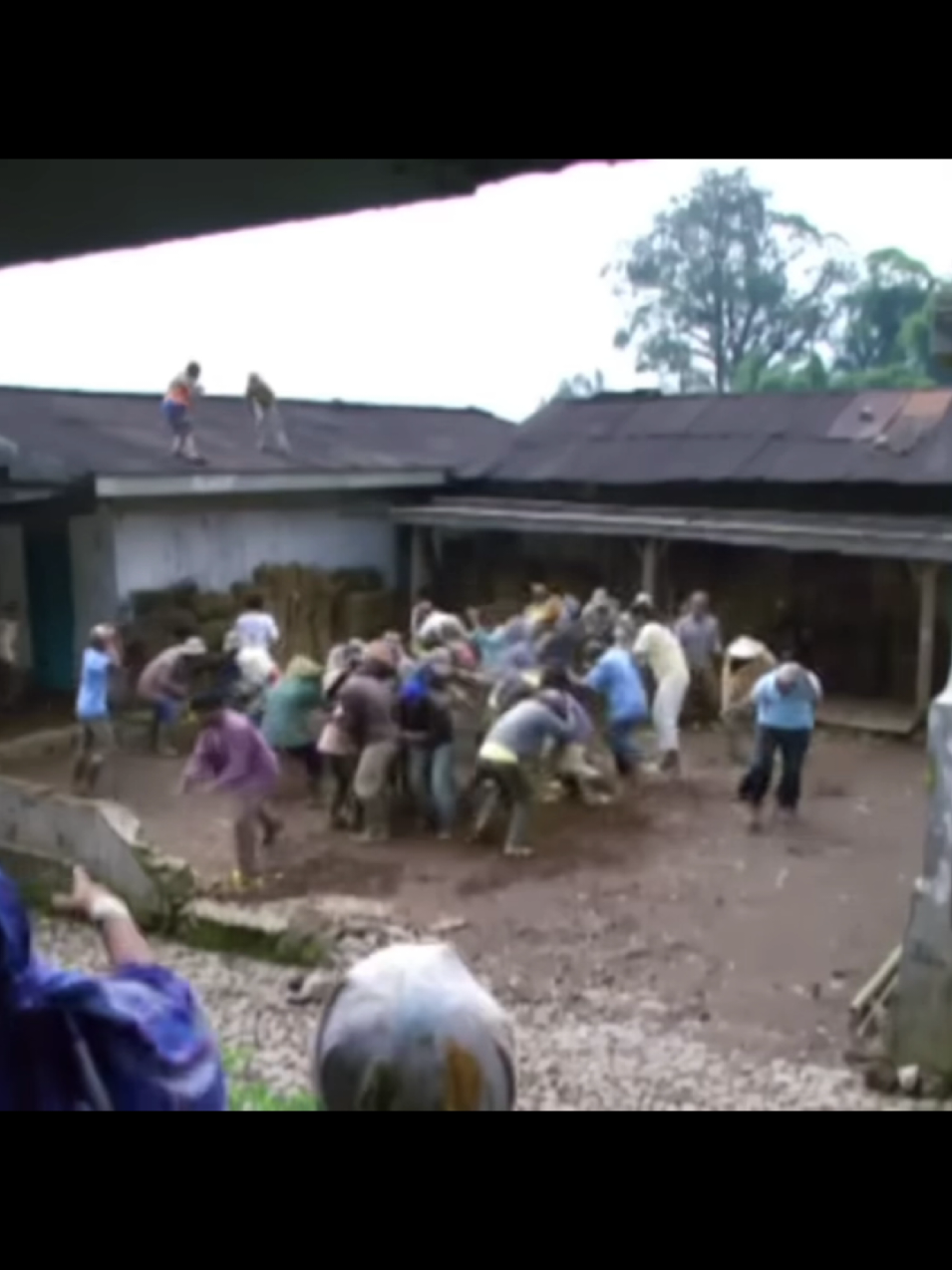 #premaninlove #wonosobo #dieng #torasudiro #sindoro #sumbing #filmindonesia #fypシ゚viral #semuaorang #sorotan #preman 