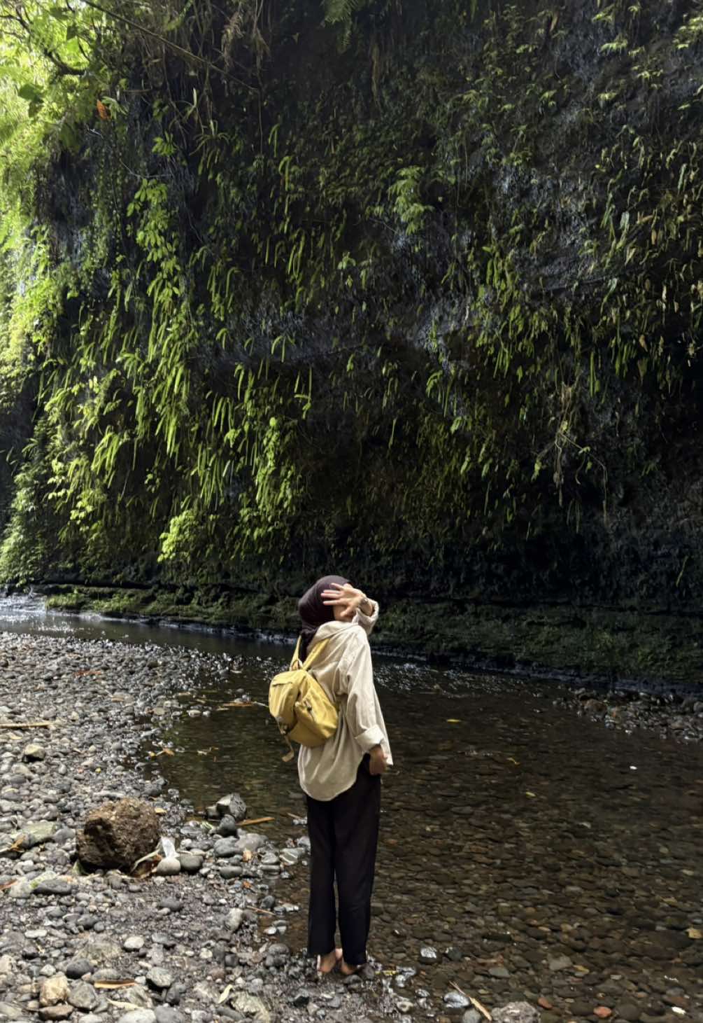 ASMR Curug Juneng🫧 salah satu cara bertahan hidup dengan waras adalah main ke curug🥹 #curug #curugjuneng #curugjumeneng #baturaden #fyp #adayinmylife 