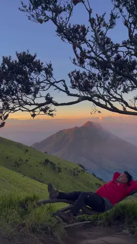 Siapa yang wishlist nya pengen ke pohon ini cunggg👆🏻@MERBABU VIA SUWANTING @MERBABU VIA SUWANTING #pendakiindonesia #pendakigunung #explore 