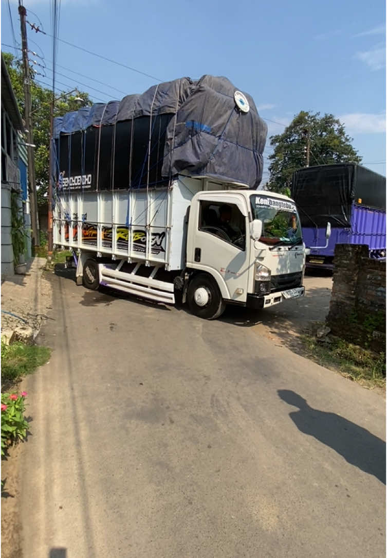 Shavana express😎.    @risal fareno @Wildan iquu @Dimas Anggara.                                                 #fyppppppppppppppppppppppp #fypage #masukberanda #trukmaniaindonesia #truklovers #foryoupage #shavanasquad #trukmodifikasi #krodong_mania_indonesia 