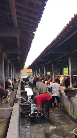 Bismilah