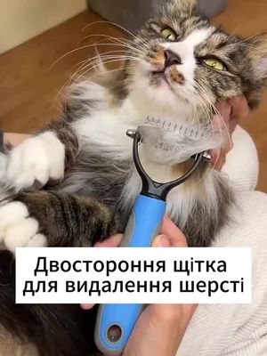 Втомилися від ковтунів на вашому улюбленцю? У нас є ідеальне рішення