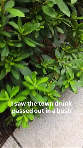 Vro is drunk🥴 