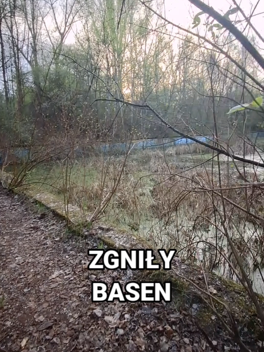 ZGNIŁY BASEN #urbanexploration #urbex #nicelocation #urbexphotography #exploration #poland 