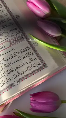 #أستغفرالله #سبحان_الله #الحمدالله #للهم_صل_وسلم_على_نبينا_محمد 