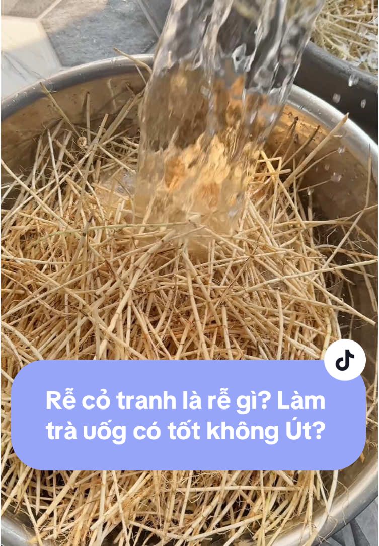 Rễ cỏ tranh phơi khô làm trà uống tốt lắm, trà rễ cỏ tranh hỗ trợ mát mẻ, thanh nhiệt #baut #bautoi #tiembaut #meonuoibe #meodangian #trathaomoc #trarecotranh #tramatgan 