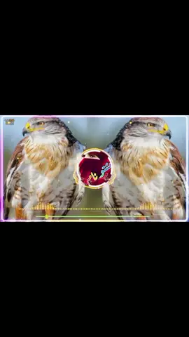 tiktokfortrick💔🎵 #pashtonazam#🇬🇧   #foryou#tiktok  #pashto#foryoupa  #adilwazir475#🇦🇪@شریعت غږ 🗣️ @🎙️ توحید سٹوڈیو 🗣️ 