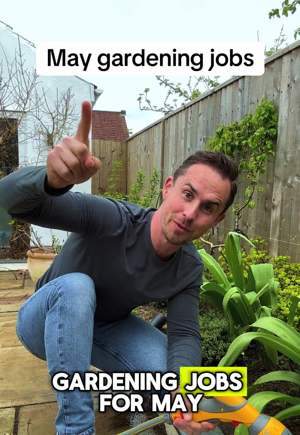 May gardening jobs If you didn't prune your lavender at the end of summer you can do that now to stop it going leggy. If you're going to do lawn care like aerating and  reseeding do this by the end of the month. Apply nitrogen-rich summer lawn feed to encourage leaty growth. You can Plant out dahlia tubers and cannas after all risk of frost has passed and tie in the new shoots of climbing plants like clematis and wisteria to their supports. As the weather warms up it's a good time give everything a good clean. Apply liquid feed to tulips, daffodils for a good display next year. Plant out summer bedding and tender annuals like sunflowers and cosmos after the last frost. Harden off tender plants raised indoors remembering to bring them back in at night. Reduce snail populations by going on regular hunts, especially during damp weather. And start planting up your hanging baskets 