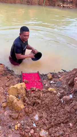 Looking for gold and panning for gold buried in river walls #mininggold #goldpanning #goldhunter #golddiscovery #viralvideo #foryou #foryoupage 